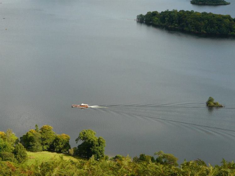 1451954_10202545400866946_133736964_n