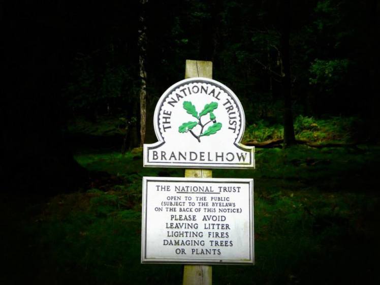 1465344_10202545367666116_1507033925_n