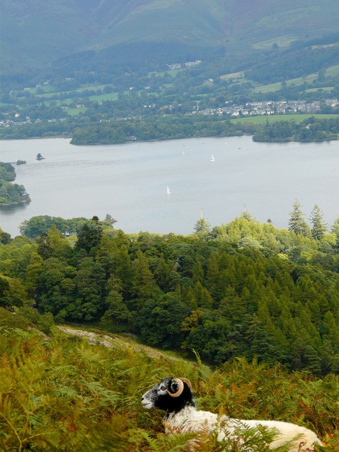 1470313_10202545395986824_1155182698_n