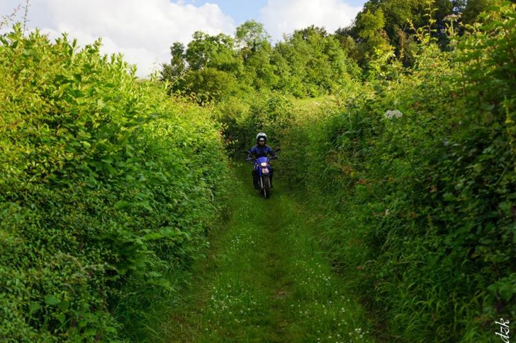 10273425_10204187267792593_7775775175034357625_n