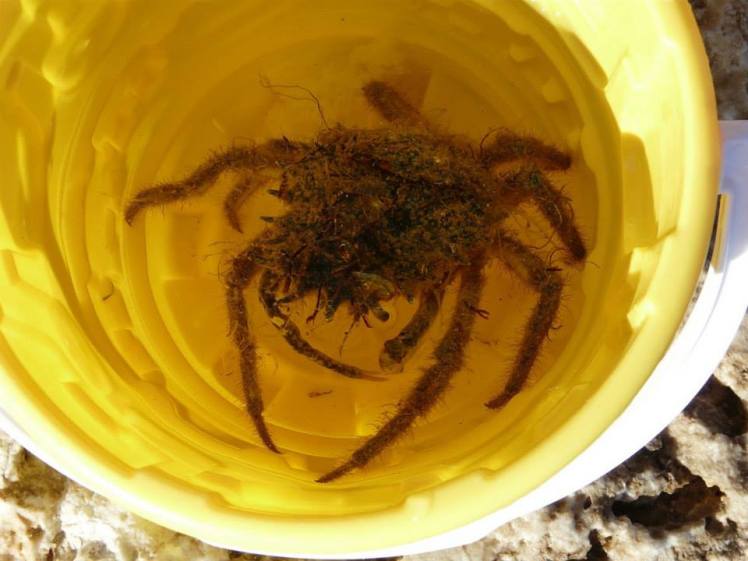 552748_10202141754496039_555311417_n