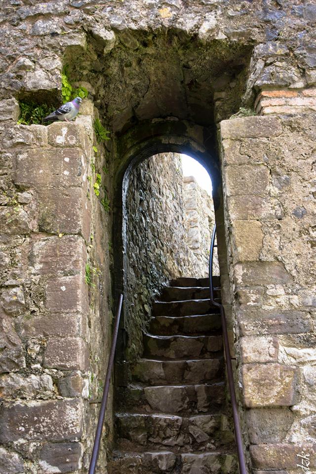 10270840_10204113290623210_8578294959140348475_n