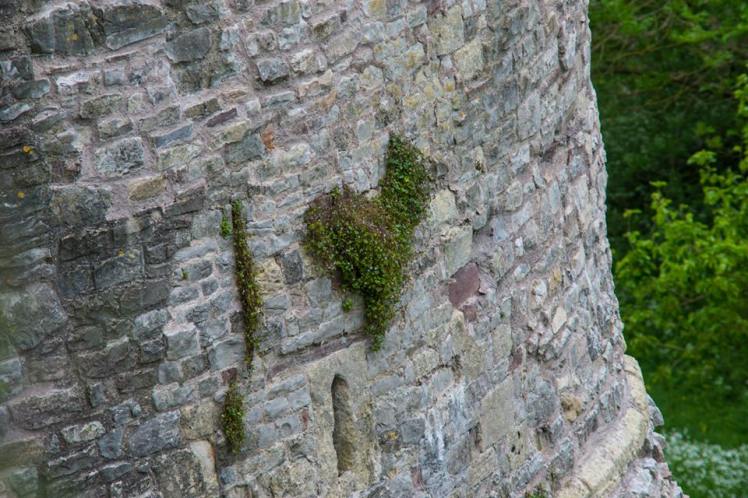 10296562_10204113308623660_516631312867900372_n