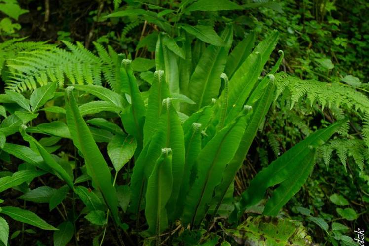 10313814_10204113342864516_4113447403633042519_n