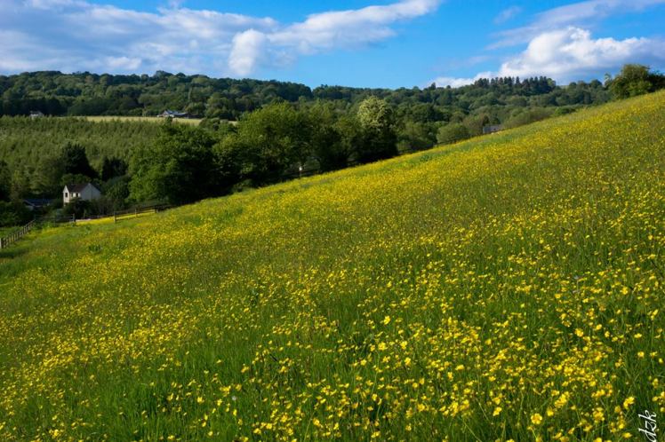 10336643_10204113353944793_4065413913829179918_n