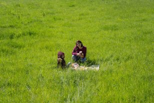 10378162_10204157633491754_121352525593057429_n