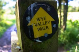 10409735_10204113365185074_4401762368869865276_n