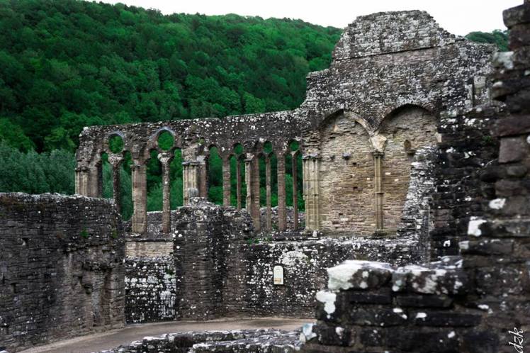 10439347_10204113331544233_1889612101528176879_n