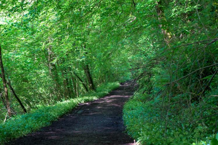 10441427_10204113343944543_6577200967787960703_n