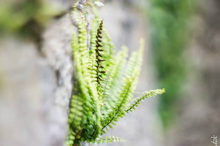 10486114_10204113310263701_4184623058352054328_n