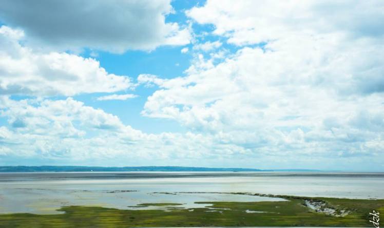 1782100_10204113270022695_3166866539169730773_n