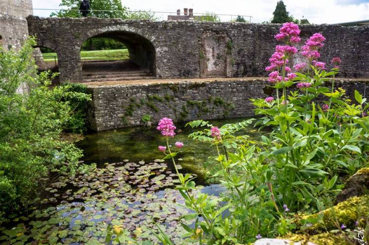 984144_10204157659492404_5579092971373535864_n