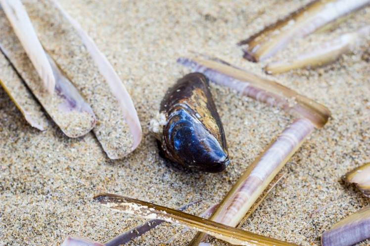 10152512_10203895423096658_1799062638189591198_n