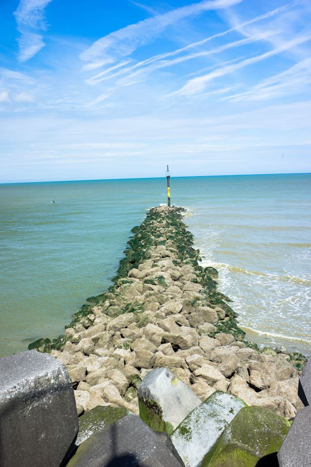 10365813_10203895419896578_3388959447390569327_n