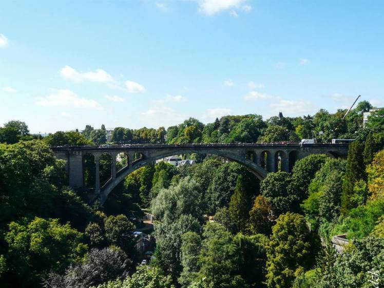 10405544_10204448814451096_8926239410611410377_n