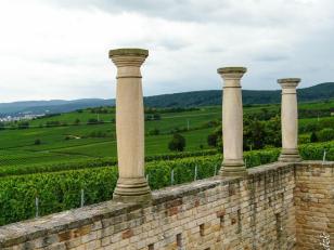 10430440_10204414353549595_3153164686860352150_n