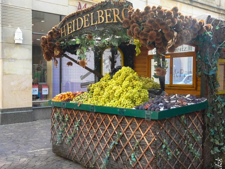 10552548_10204414342429317_1072427362071840478_n