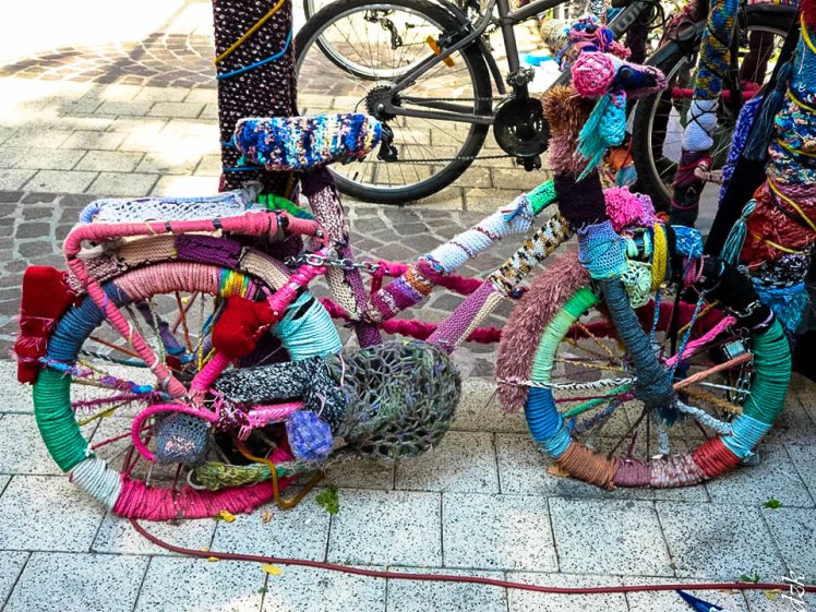 10574474_10204448809770979_987735497317486200_n