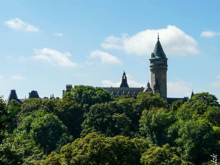 10590486_10204448812331043_7545232242071917135_n