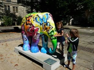 10590538_10204448816891157_4267902073633657234_n