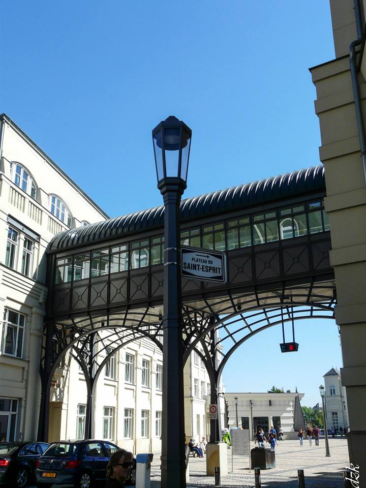 10599538_10204448817931183_1960188731463827445_n