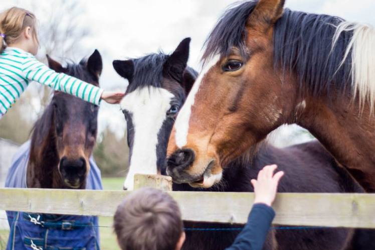 10314651_10203891366395243_300585799365589463_n