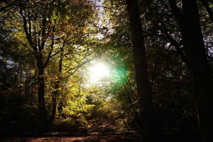 1425741_10202435303034569_1735800076_n