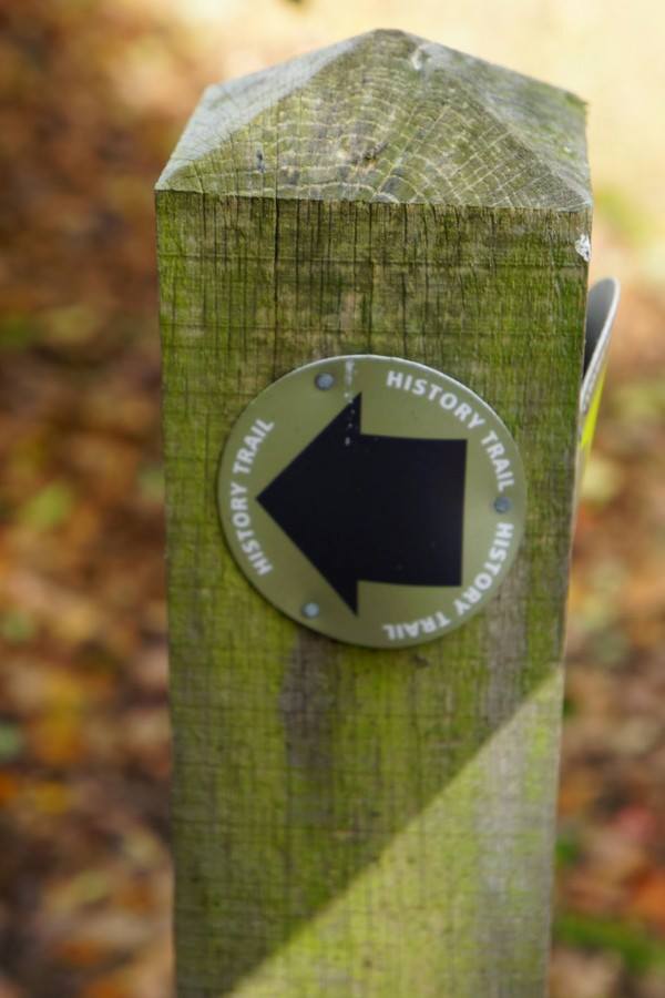 1459763_10202435281434029_870859579_n