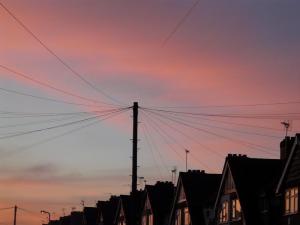 402165_3008371578997_1633064147_n