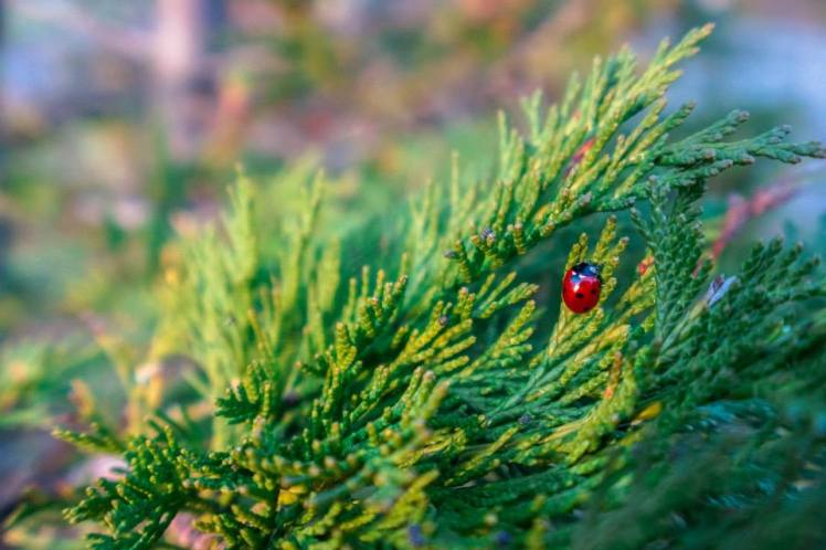 1975219_10203421941139905_645290847_n