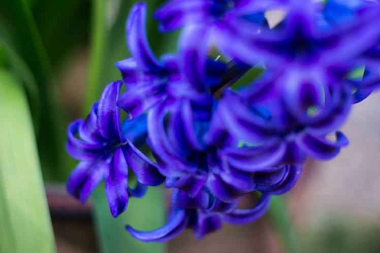 1979622_10203494465712974_1595381_n