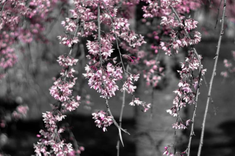 984102_10203891361755127_3818419164981998341_n