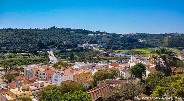 silves2