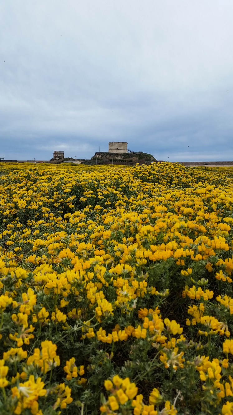 LRM_EXPORT_20180331_130751